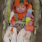 Sleeping Pumpkin 1