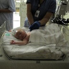 Everyone making sure the little guy is okay.