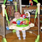 Looking at the Birdie